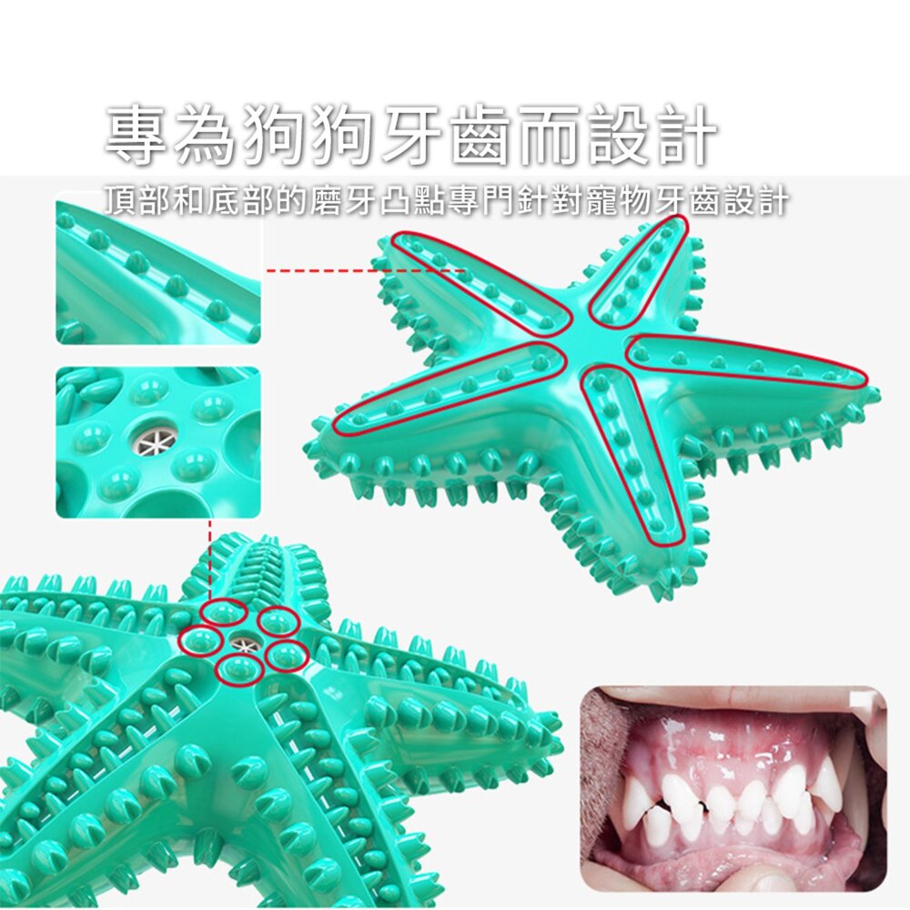 海星 發聲牙刷玩具 海星造型 狗狗發聲漏食玩具 寵物互動 益智磨牙 潔齒神器 TPR耐咬材質 可漂浮水上邊玩邊潔牙 可塗-圖片-6