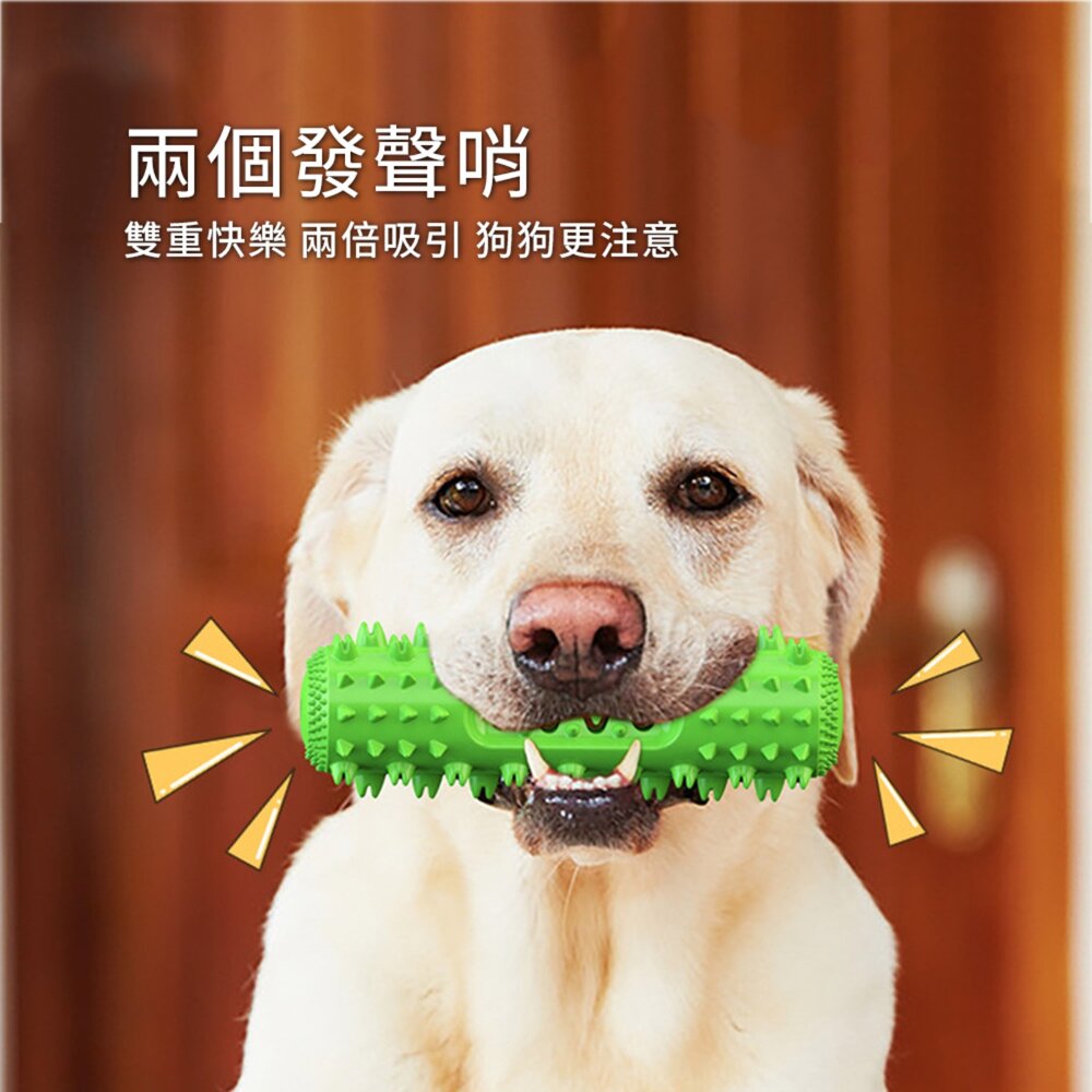 發聲鋸齒磨牙棒 發聲鋸齒潔牙棒 可塗牙膏 狗狗漏食玩具 水上漂浮 深度磨牙 益智藏食 寵物用品毛掌櫃寵物店-圖片-2