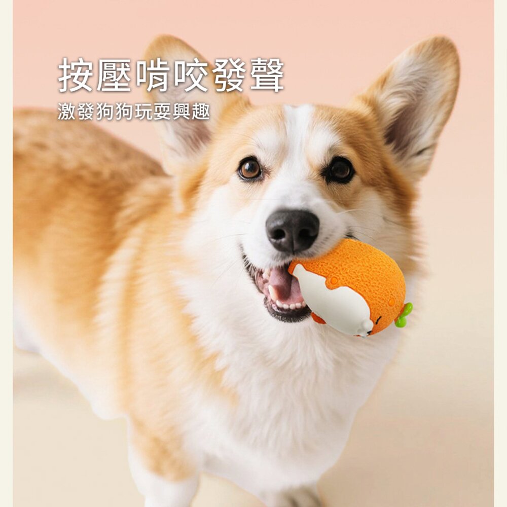 Ball 動物園乳膠發聲玩具 狗狗發聲玩具 寵物互動 益智磨牙 潔齒神器 可愛卡通設計 TPR耐咬材質 可塗抹零食牙膏毛-圖片-3