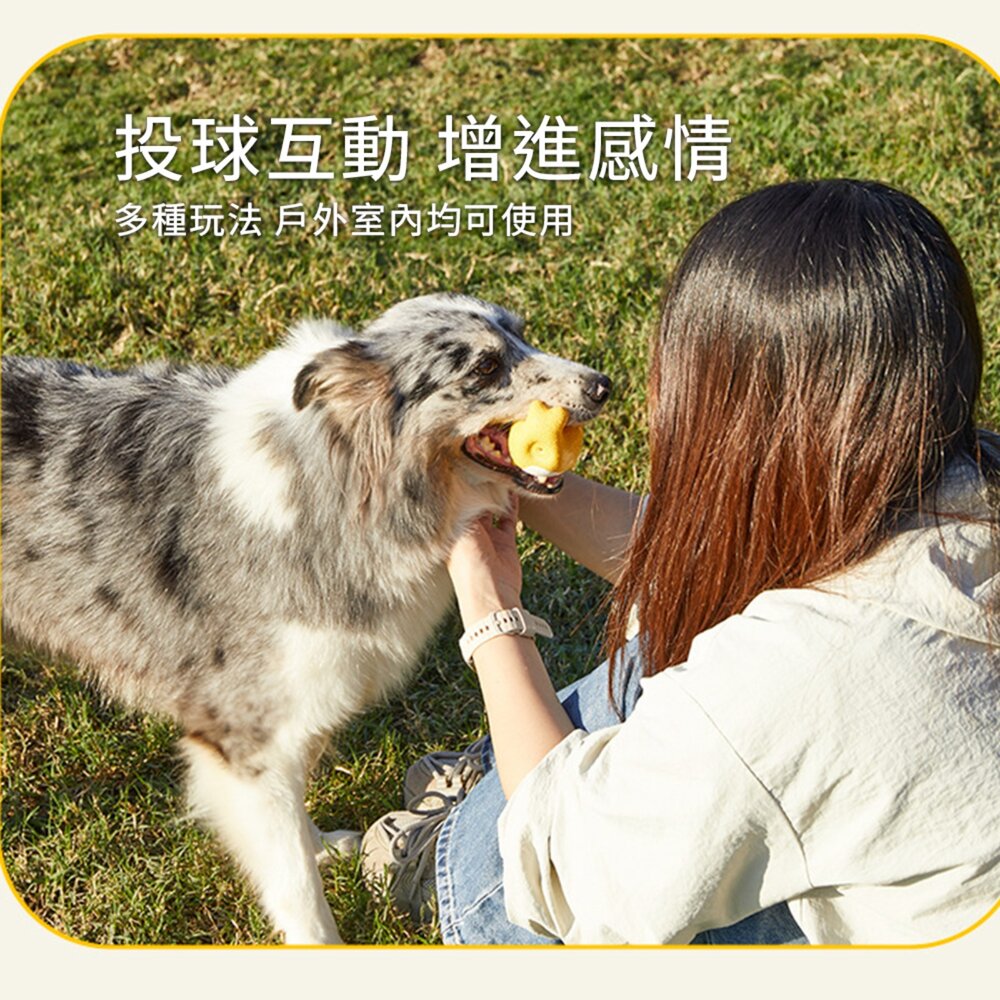 Ball 動物園乳膠發聲玩具 狗狗發聲玩具 寵物互動 益智磨牙 潔齒神器 可愛卡通設計 TPR耐咬材質 可塗抹零食牙膏毛-圖片-4