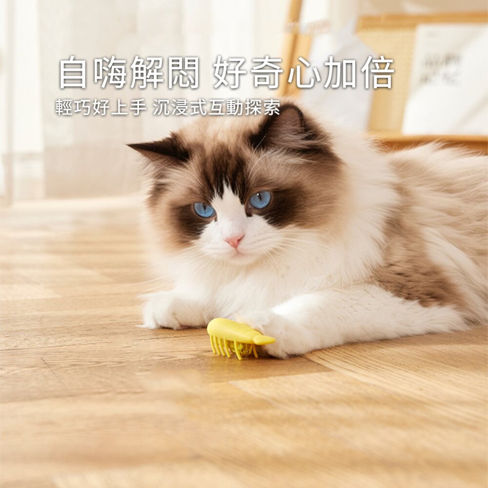 DGT狩獵小精靈 電動逗貓小蟲玩具 自動翻身 智能避障 互動寵物玩具 激發貓咪 狩獵天性 耐咬安全材質毛掌櫃寵物店-圖片-2