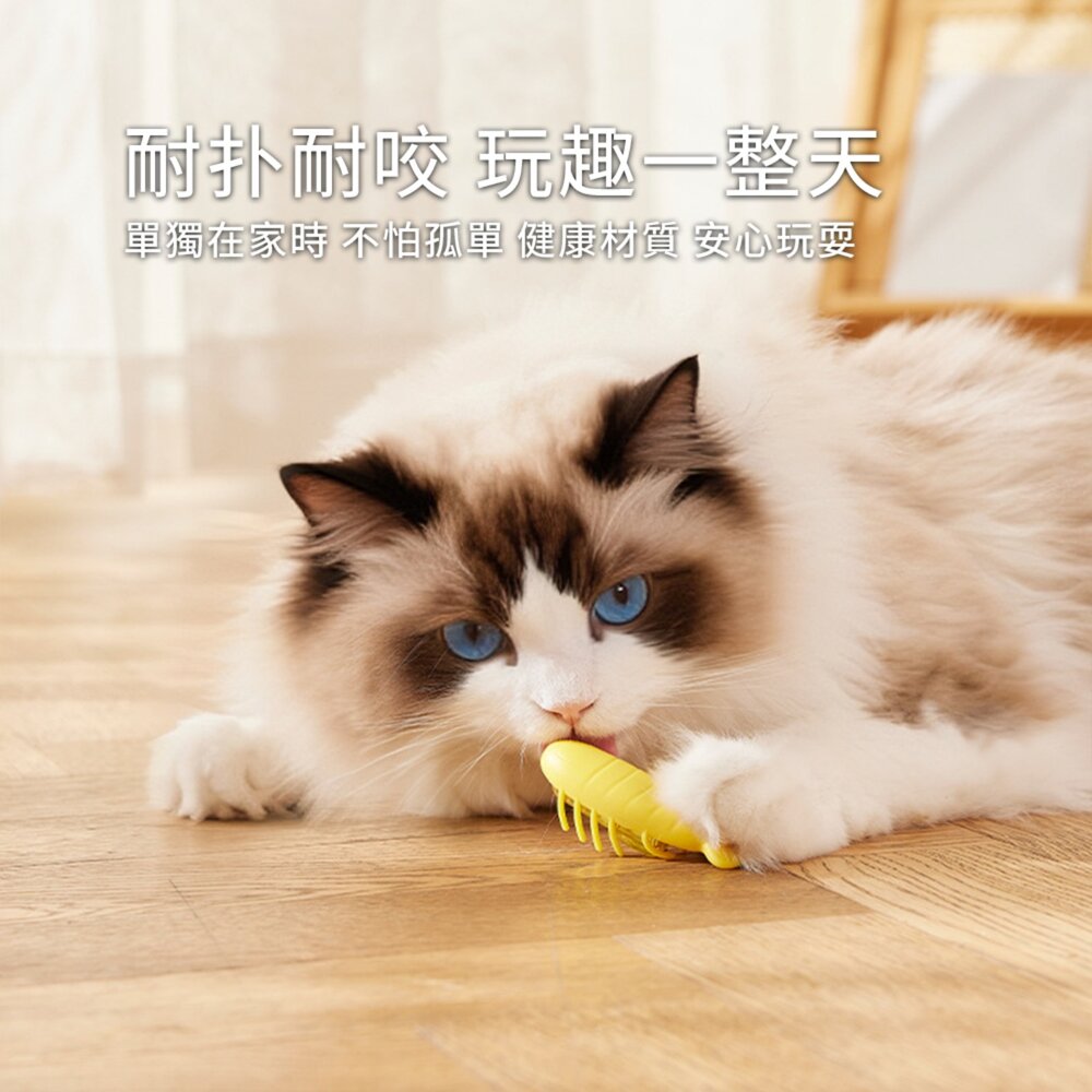 DGT狩獵小精靈 電動逗貓小蟲玩具 自動翻身 智能避障 互動寵物玩具 激發貓咪 狩獵天性 耐咬安全材質毛掌櫃寵物店-圖片-3