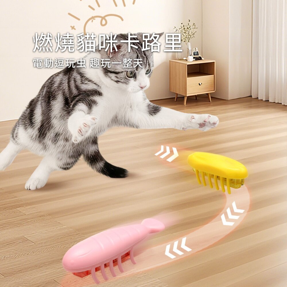 DGT狩獵小精靈 電動逗貓小蟲玩具 自動翻身 智能避障 互動寵物玩具 激發貓咪 狩獵天性 耐咬安全材質毛掌櫃寵物店-圖片-4