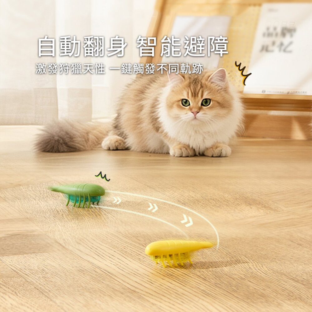 DGT狩獵小精靈 電動逗貓小蟲玩具 自動翻身 智能避障 互動寵物玩具 激發貓咪 狩獵天性 耐咬安全材質毛掌櫃寵物店-圖片-6
