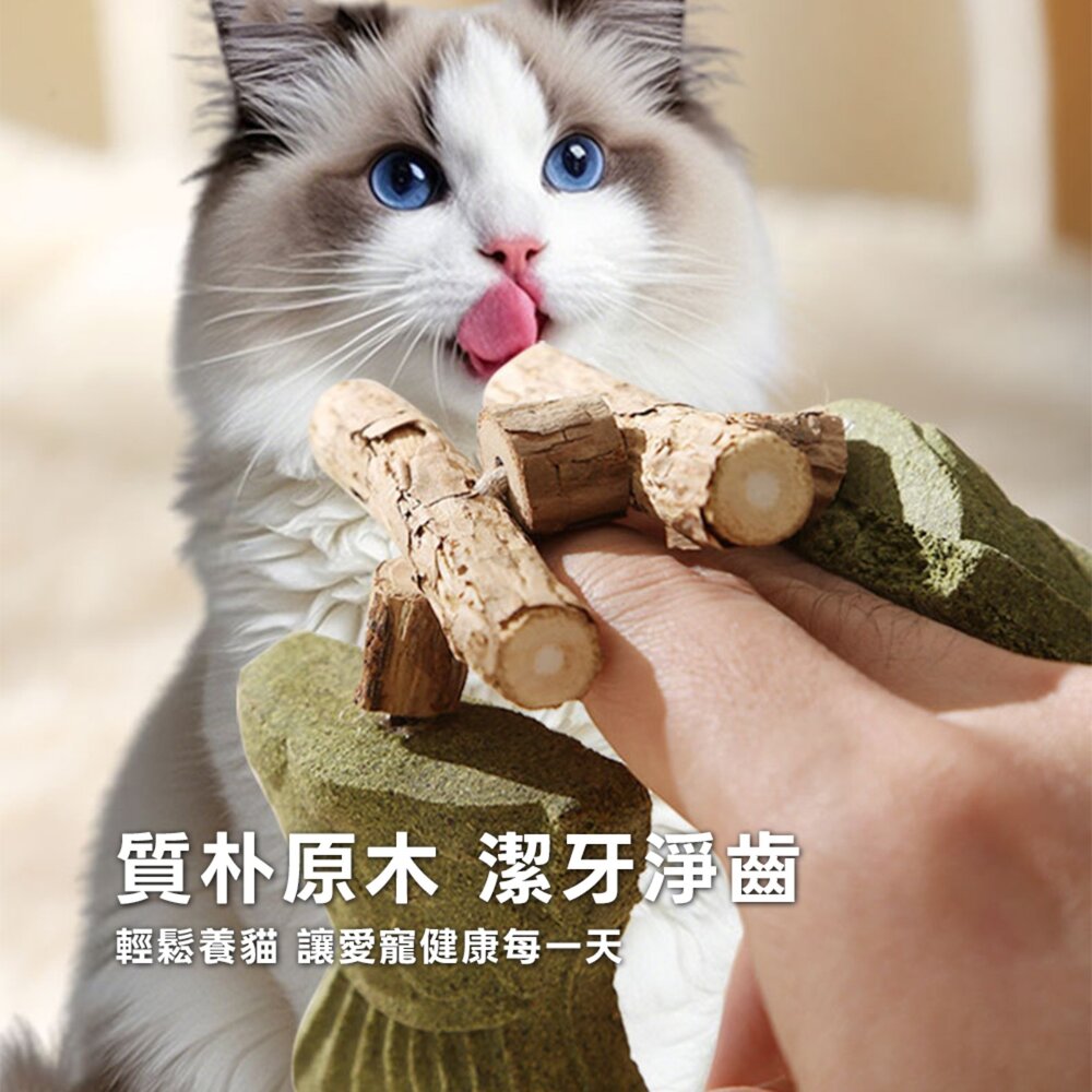 鯛魚燒魚骨貓薄荷 魚骨造型貓咪磨牙棒 質樸原木潔齒淨齒 自嗨解悶舒緩情緒 貓啃咬玩具毛掌櫃寵物店-圖片-1