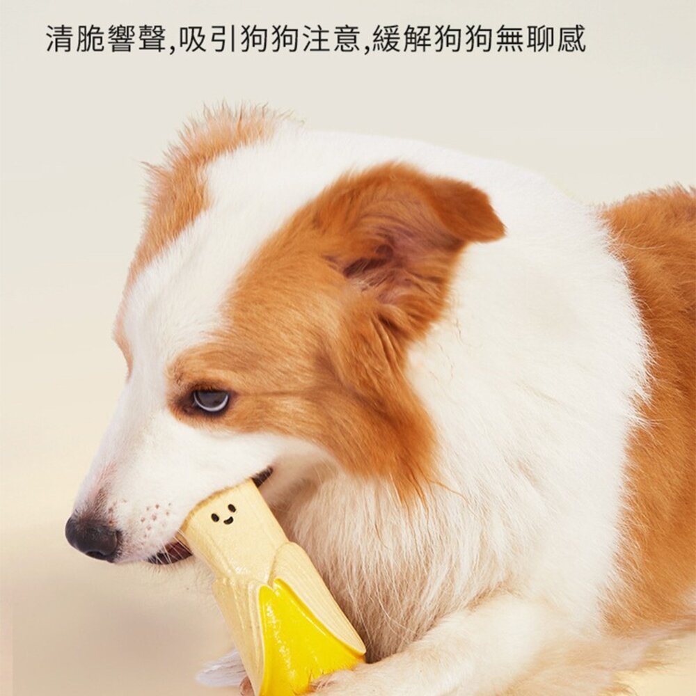 UWC 剖一半菜乳膠發聲玩具 新鮮現剖 狗狗發聲乳膠玩具 剝一半蔬果系列 耐咬磨牙發聲玩具 可直接水洗 寵物互動玩具毛掌-圖片-4