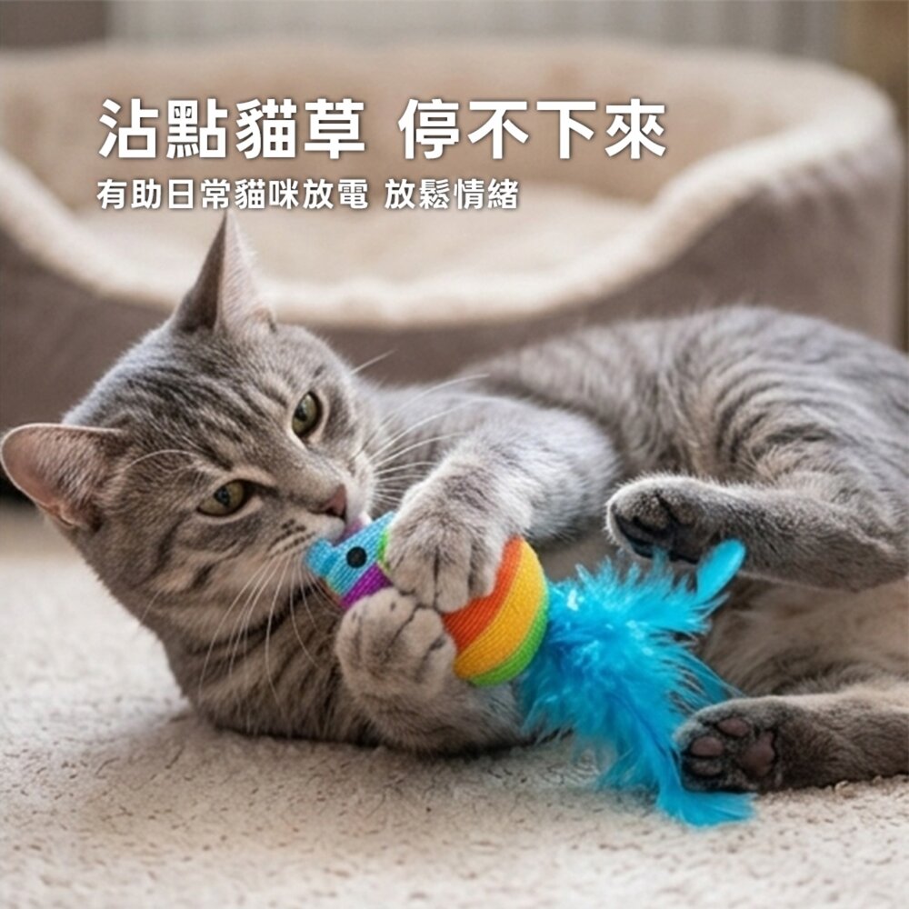 Duodoo 彩紅藍尾老鼠 貓咪羽毛玩具 彩虹老鼠貓玩具 貓咪啃咬包 貓咪自嗨解悶 貓咪磨牙玩具 貓草老鼠 寵物羽毛玩具-圖片-3