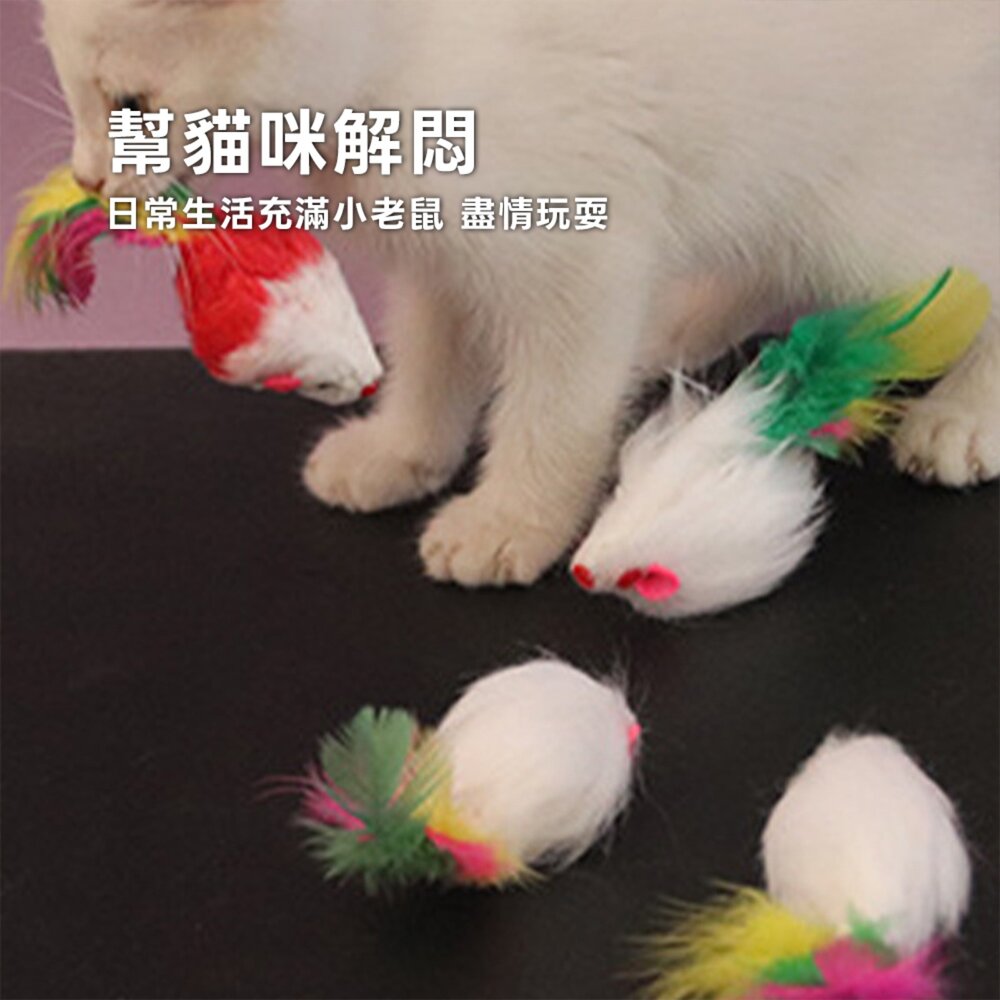 Duodoo 羽毛尾小老鼠 貓咪毛絨老鼠 羽毛老鼠貓玩具 貓咪自嗨玩具 貓咪磨牙咬咬包 寵物拋接玩具 逗貓小老鼠 貓咪解-圖片-5