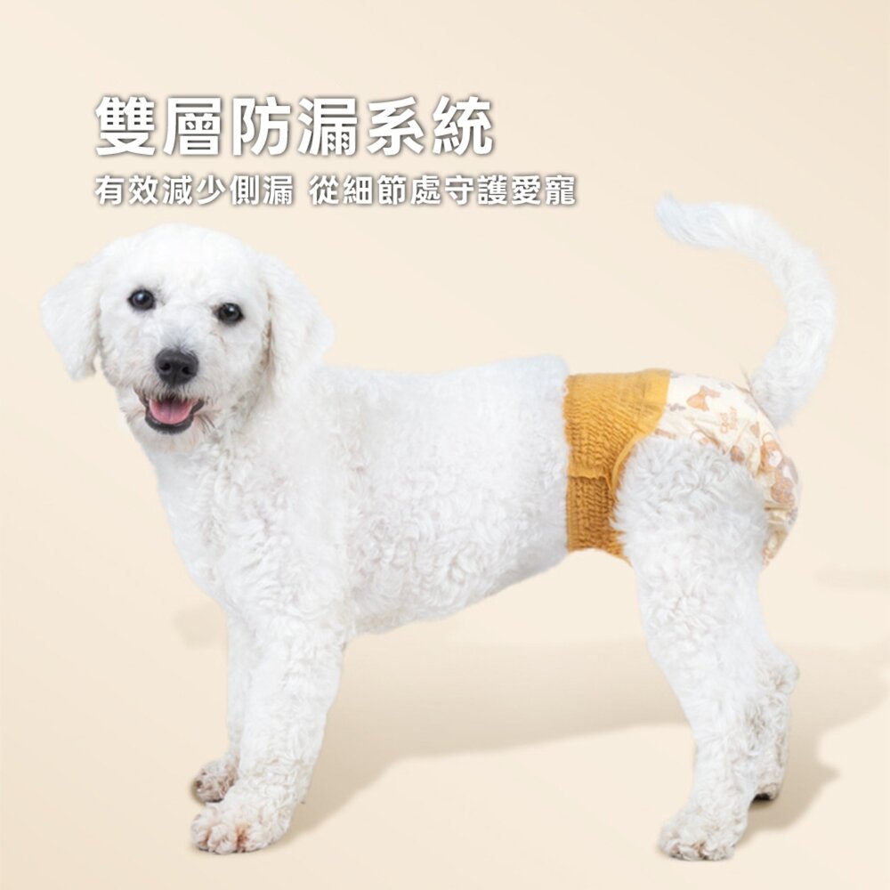 泰迪 除臭母狗 禮貌帶 拉拉褲 尿布 寵物生理褲 狗狗衛生褲 專利除臭毛掌櫃寵物店-圖片-4