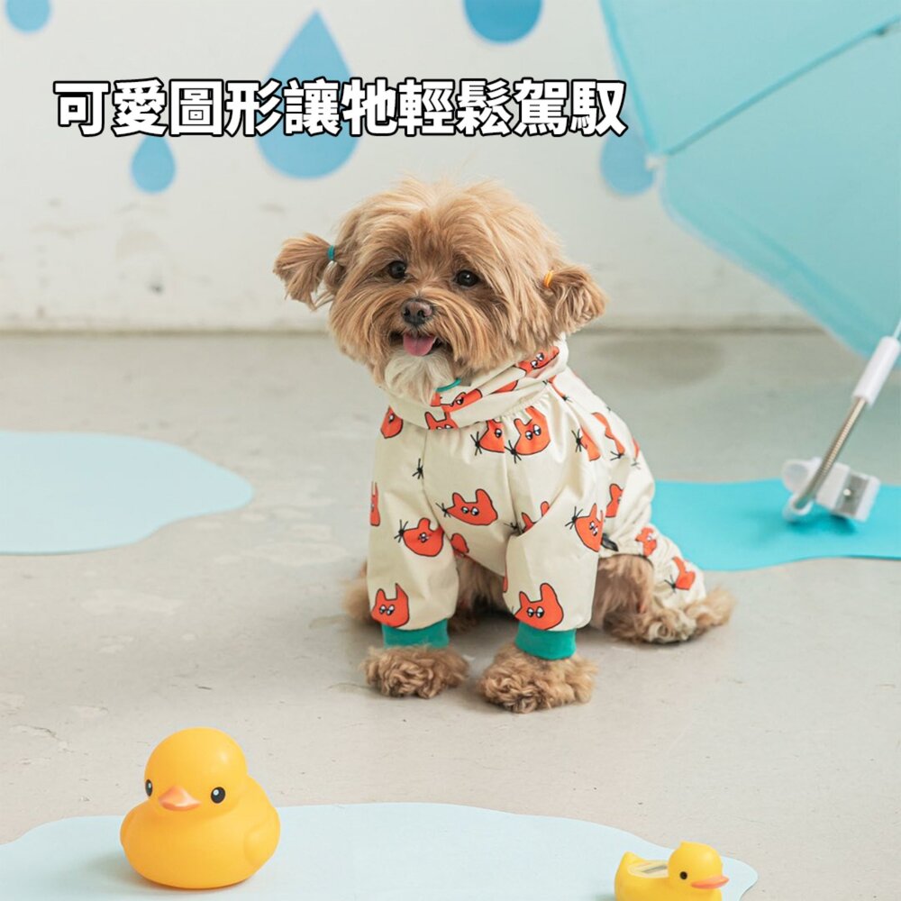 RAINY 寵物雨衣 全包式雨衣 雨衣 防水衣毛掌櫃寵物店-圖片-4