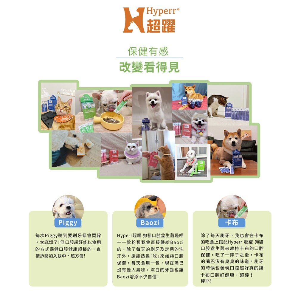 Hyperr 超躍 狗貓保健品 狗貓益生菌 保健品 魚油 腸胃 免疫 腎泌 口腔 皮膚 毛髮 關節 魚油 保健毛掌櫃寵物-圖片-1