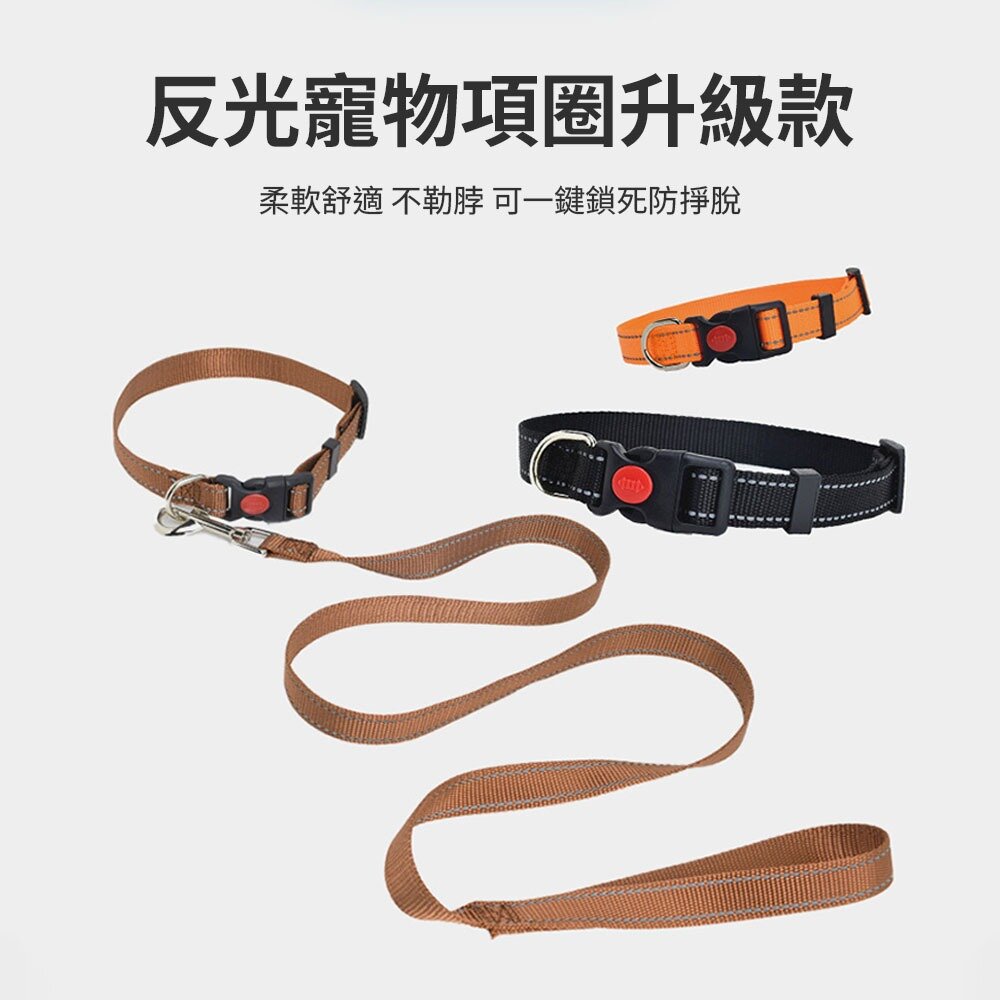 MCC 寵物反光項圈 反光牽繩 寵物牽繩 牽繩 寵物項圈 尼龍項圈牽繩 狗項圈 貓項圈 狗狗牽繩毛掌櫃寵物店-圖片-1