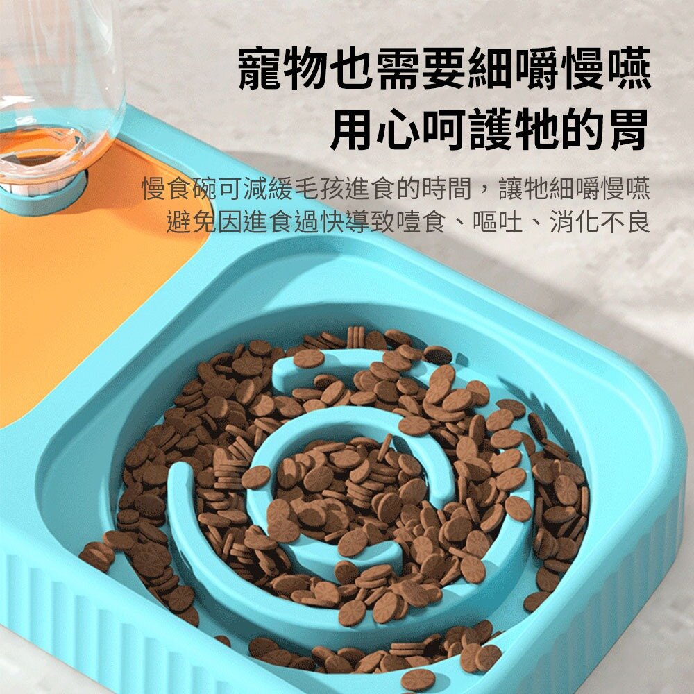 PETBOWL 慢食水瓶 慢食碗 水瓶 寵物碗 不鏽鋼碗 防蟻碗 碗 貓碗 狗碗毛掌櫃寵物店-圖片-4