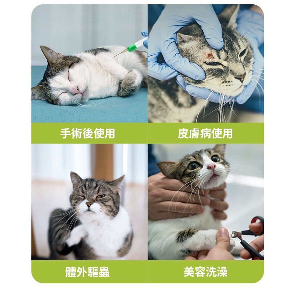 RCC 寵物親膚頭套 親膚海綿 伊莉莎白 術後頭套 防舔頭套 防舔圈 貓頭套 狗頭套 寵物頭套 狗狗頭套毛掌櫃寵物店-圖片-1