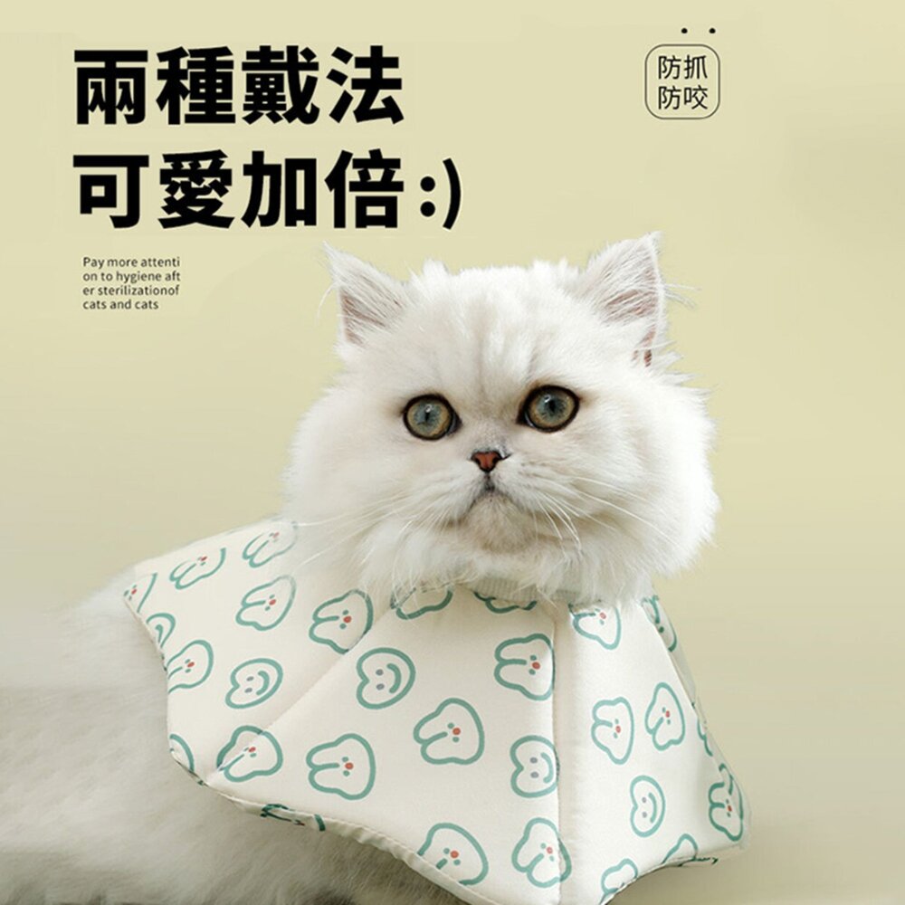 RCC 寵物親膚頭套 親膚海綿 伊莉莎白 術後頭套 防舔頭套 防舔圈 貓頭套 狗頭套 寵物頭套 狗狗頭套毛掌櫃寵物店-圖片-5