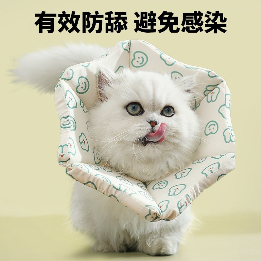 RCC 寵物親膚頭套 親膚海綿 伊莉莎白 術後頭套 防舔頭套 防舔圈 貓頭套 狗頭套 寵物頭套 狗狗頭套毛掌櫃寵物店-圖片-7