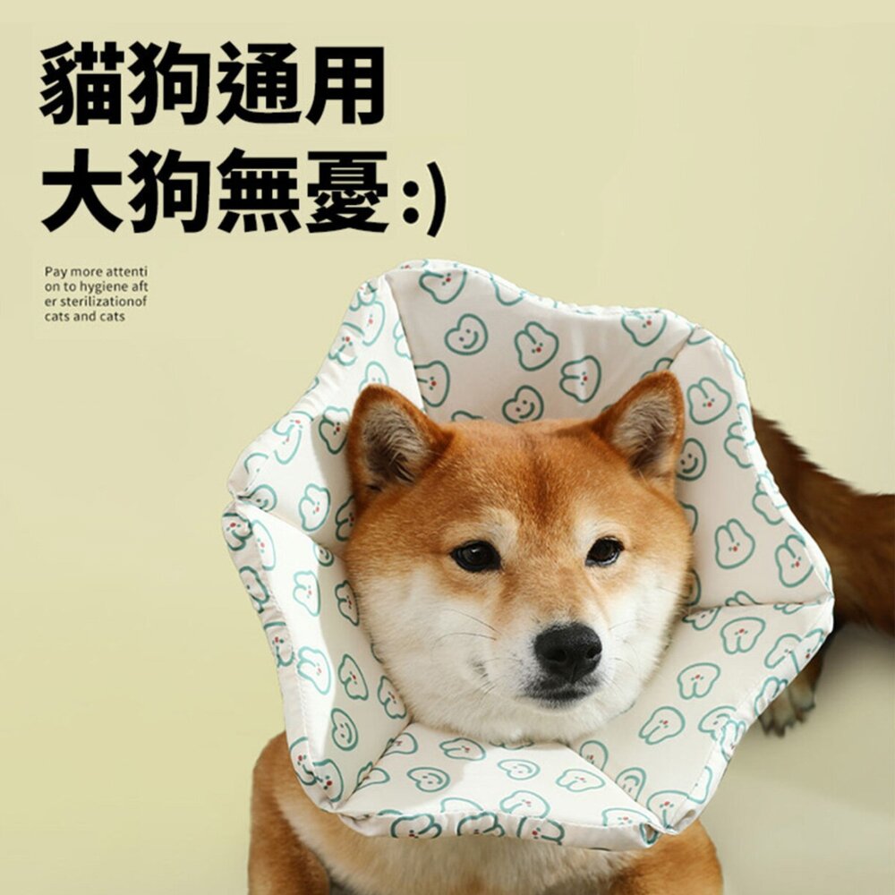 RCC 寵物親膚頭套 親膚海綿 伊莉莎白 術後頭套 防舔頭套 防舔圈 貓頭套 狗頭套 寵物頭套 狗狗頭套毛掌櫃寵物店-圖片-9