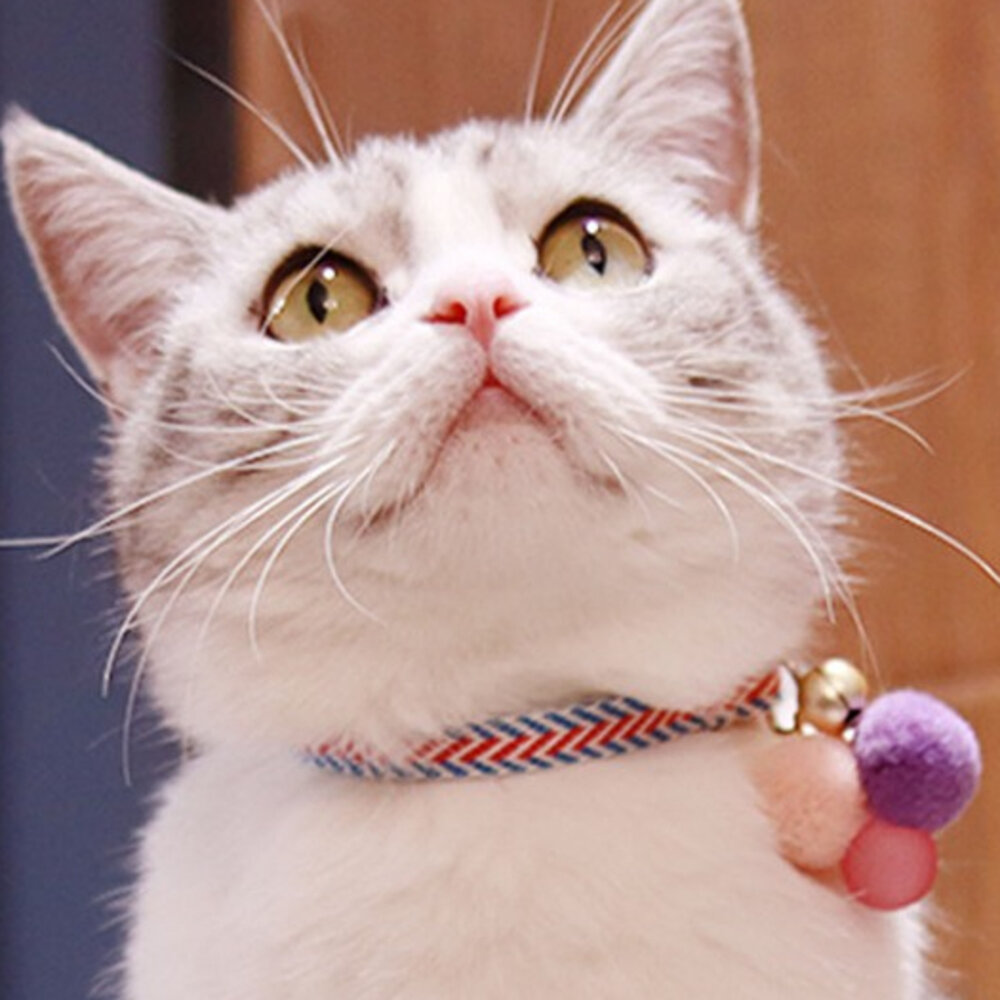 TQC 貓項圈 狗項圈 寵物項圈 貓咪項圈 和風項圈 日式項圈 小型犬項圈 可調整項圈 造型項圈 安全項圈毛掌櫃寵物店-圖片-4