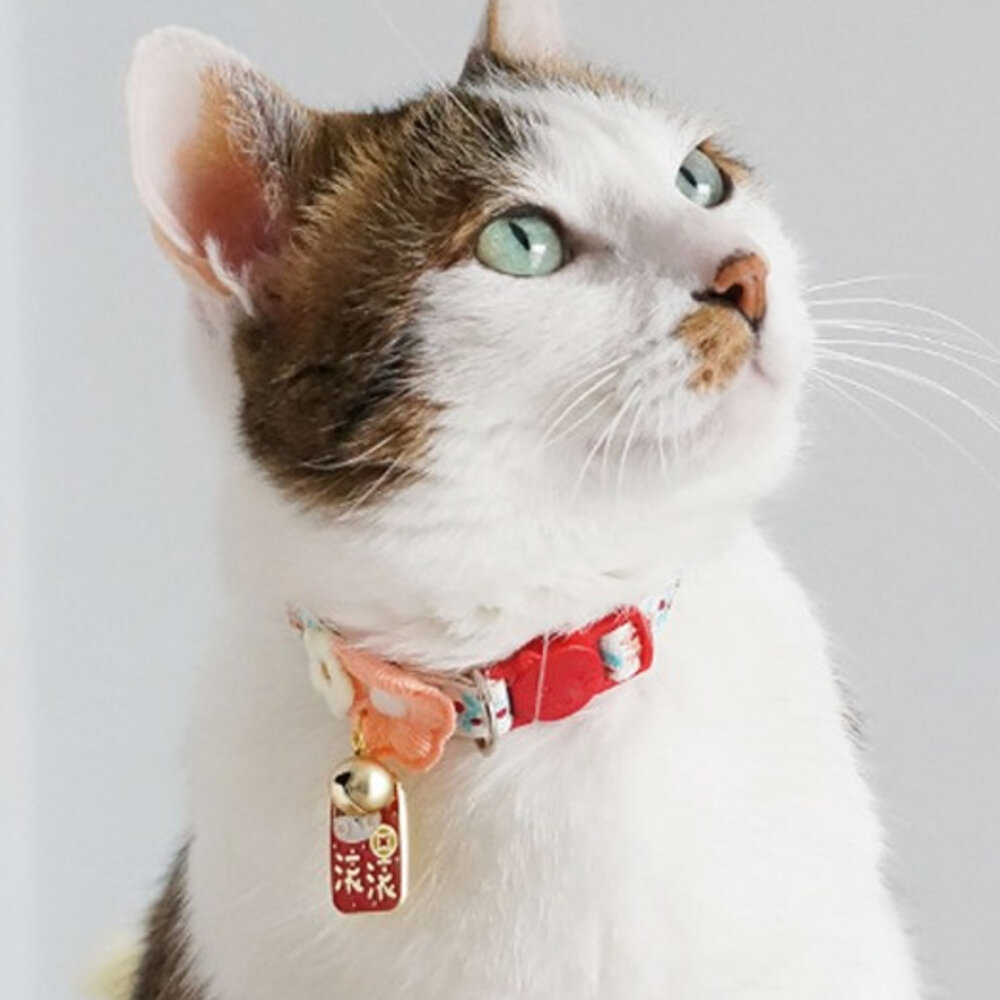 TQC 貓項圈 狗項圈 寵物項圈 貓咪項圈 和風項圈 日式項圈 小型犬項圈 可調整項圈 造型項圈 安全項圈毛掌櫃寵物店-圖片-7