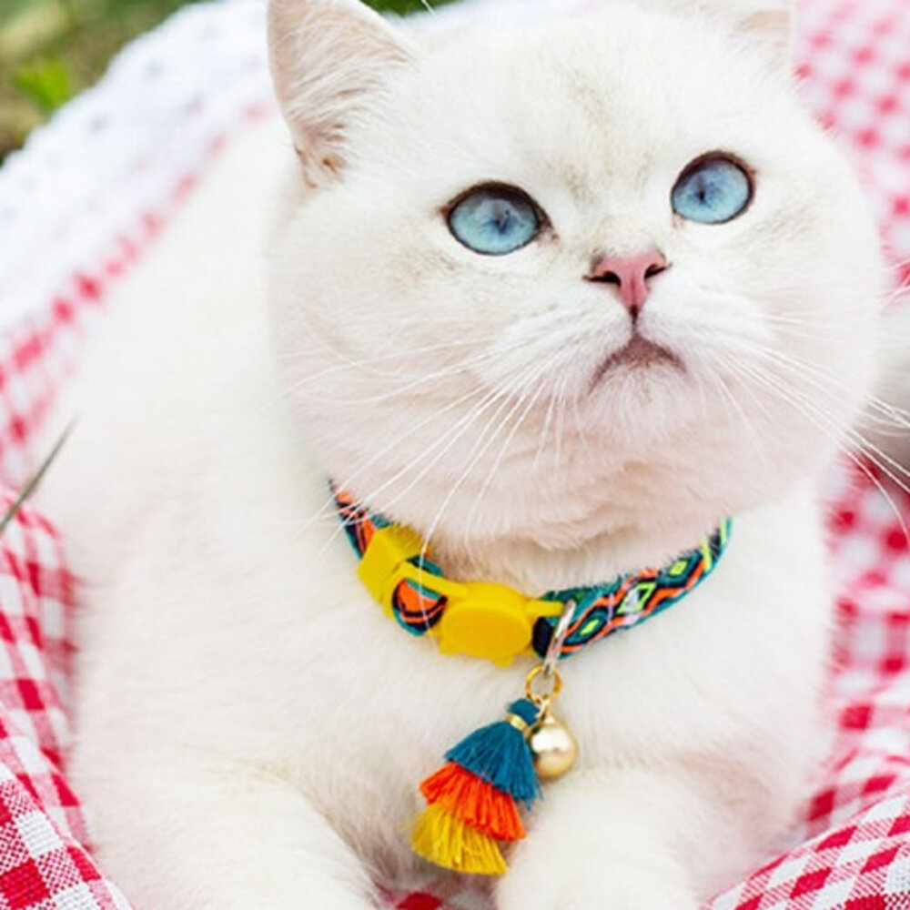 TQC 貓項圈 狗項圈 寵物項圈 貓咪項圈 和風項圈 日式項圈 小型犬項圈 可調整項圈 造型項圈 安全項圈毛掌櫃寵物店-圖片-8