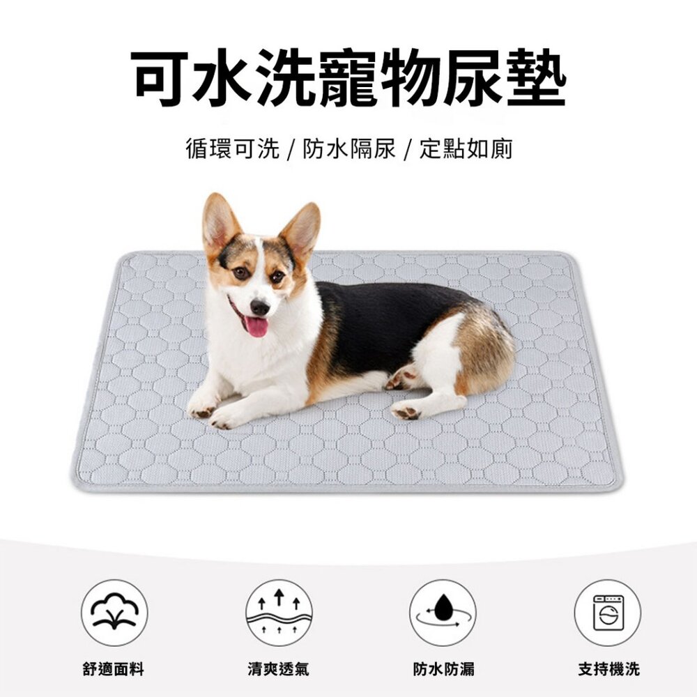 YUY可水洗尿墊 升級版 可水洗隔尿墊 寵物尿墊 犬貓適用 防水尿墊 狗狗尿布墊 吸水尿墊 尿墊 尿布毛掌櫃寵物店-圖片-1