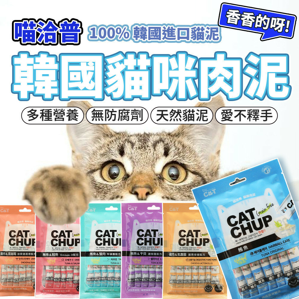 27657975582-韓國 喵洽普 貓咪肉泥 喵洽普肉泥 Cat Chup 貓肉泥 牛磺酸 肉泥 寵物肉泥 貓零食 貓咪零食 貓條毛掌櫃寵物店