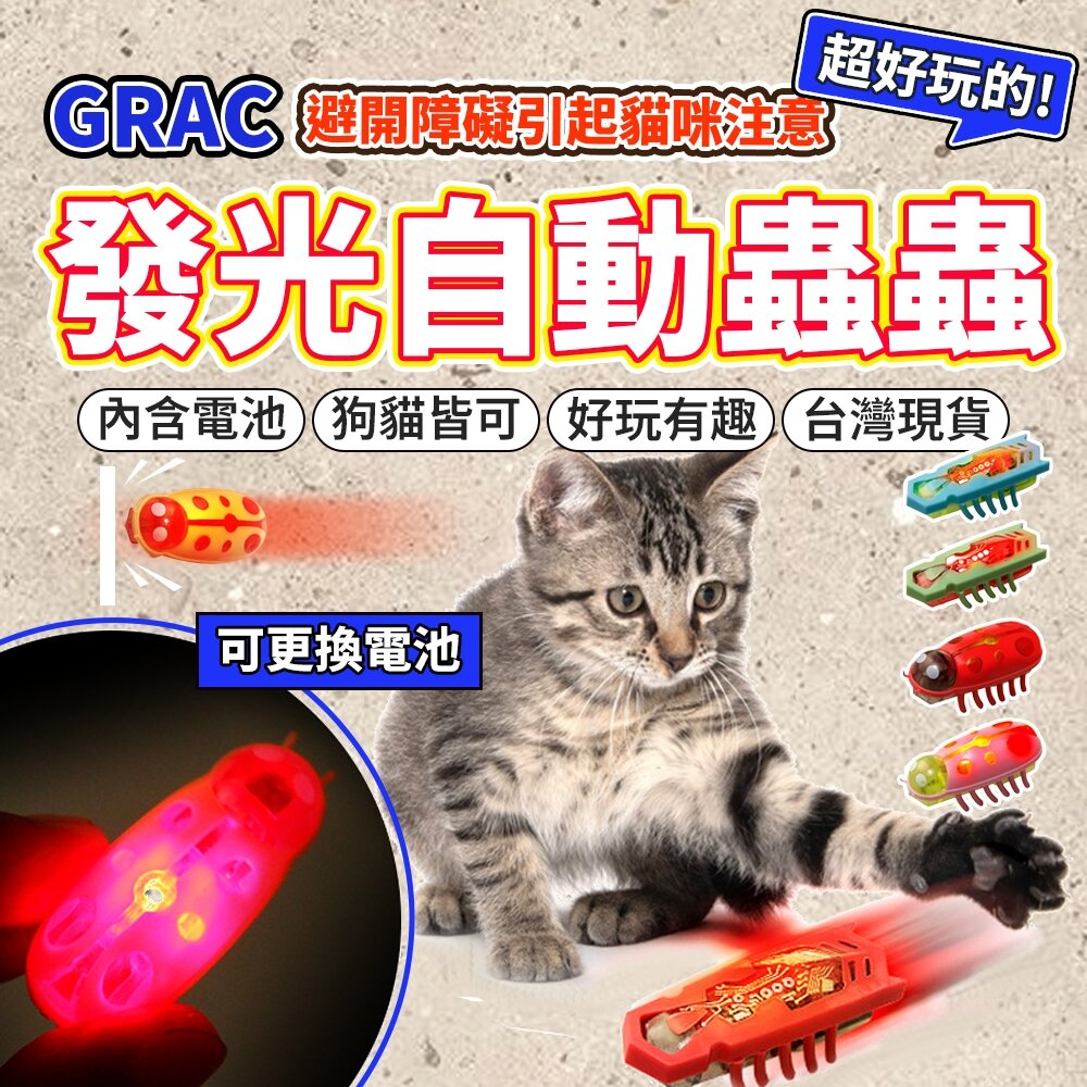 27664762091-DGT 寵物發光玩具蟲 發光電動蟲 貓咪電動玩具 蟲蟲玩具 自動轉向 貓玩具 逗貓玩具毛掌櫃寵物店