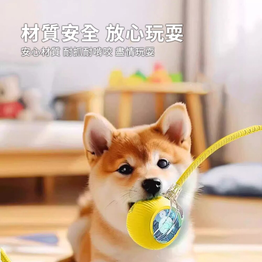 RFC 電動貓狗寵物玩具 狗狗玩具 自嗨解悶 逗狗神器 逗貓球 電動貓玩具 貓咪玩具 自動逗貓球 引力滾滾球 智能逗-圖片-2