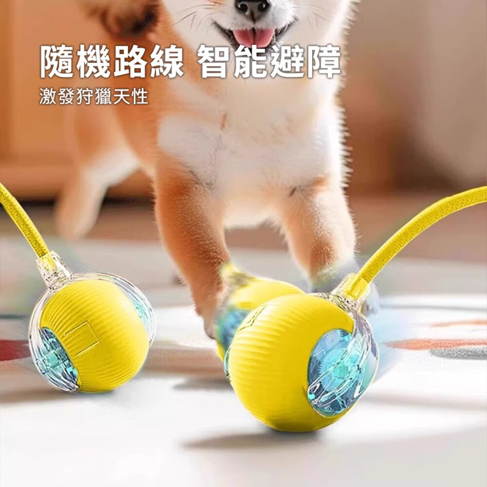RFC 電動貓狗寵物玩具 狗狗玩具 自嗨解悶 逗狗神器 逗貓球 電動貓玩具 貓咪玩具 自動逗貓球 引力滾滾球 智能逗-圖片-4