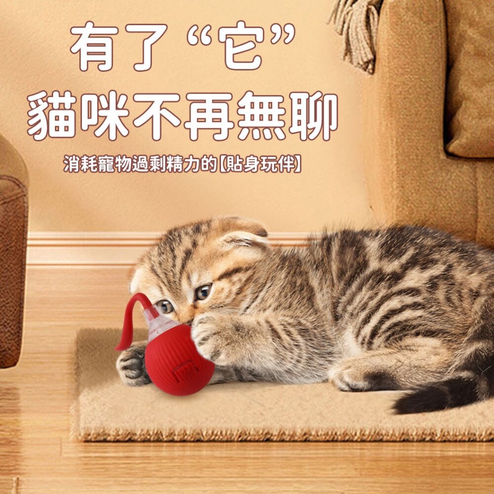 RFC 電動貓狗寵物玩具 狗狗玩具 自嗨解悶 逗狗神器 逗貓球 電動貓玩具 貓咪玩具 自動逗貓球 引力滾滾球 智能逗-圖片-5