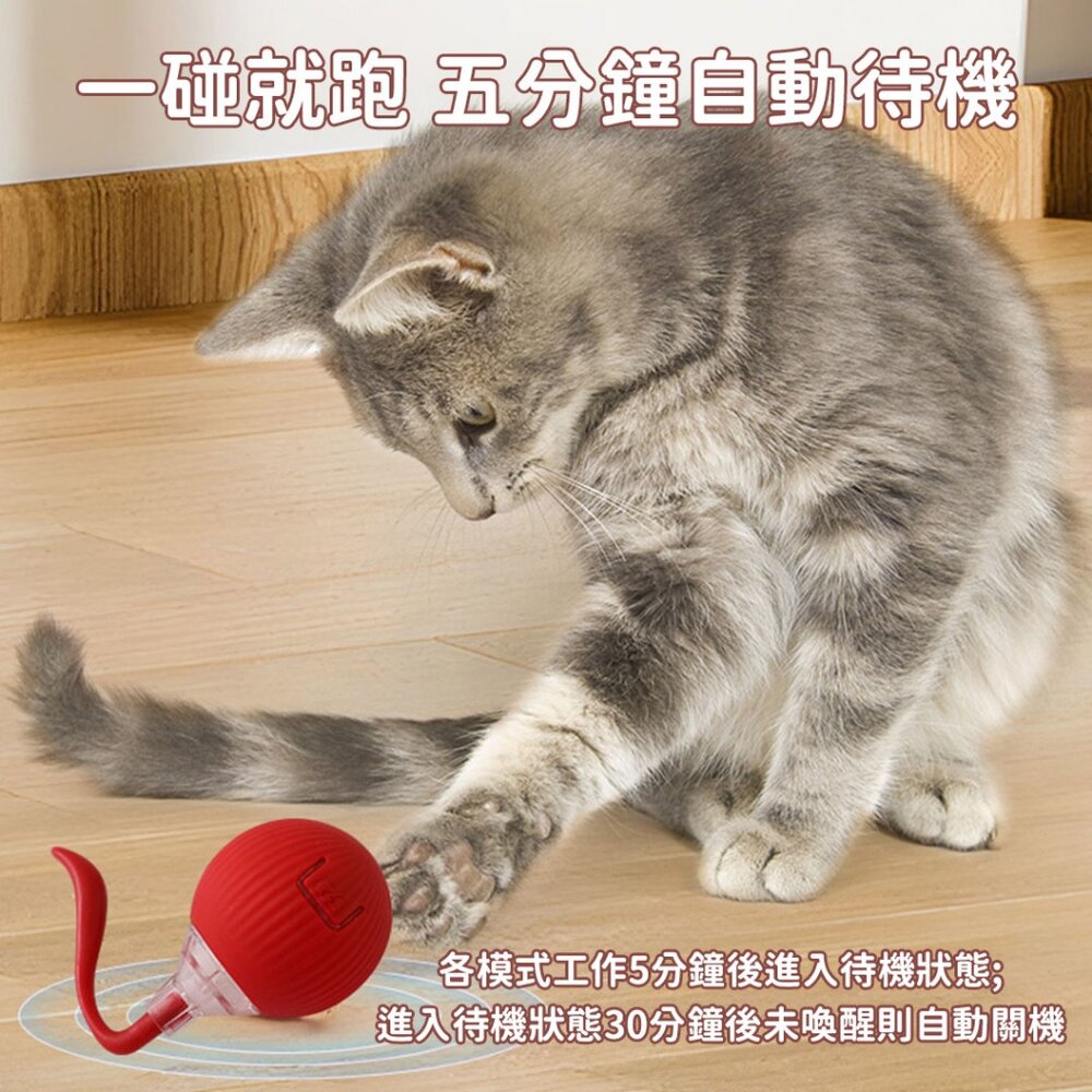 RFC 電動貓狗寵物玩具 狗狗玩具 自嗨解悶 逗狗神器 逗貓球 電動貓玩具 貓咪玩具 自動逗貓球 引力滾滾球 智能逗-圖片-6