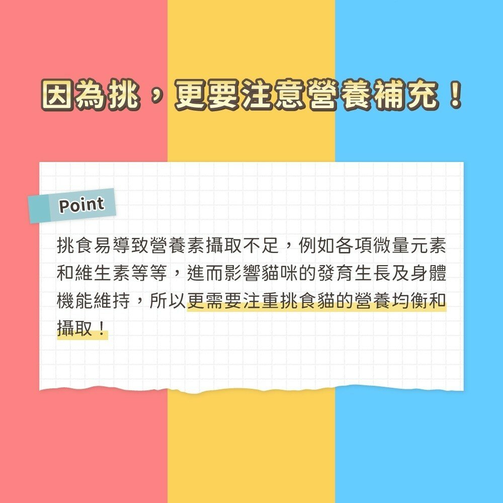 怪獸部落 開胃慕斯 主食貓罐 主食罐 貓罐頭 貓罐 幼貓 成貓 貓咪罐頭毛掌櫃寵物店-圖片-4