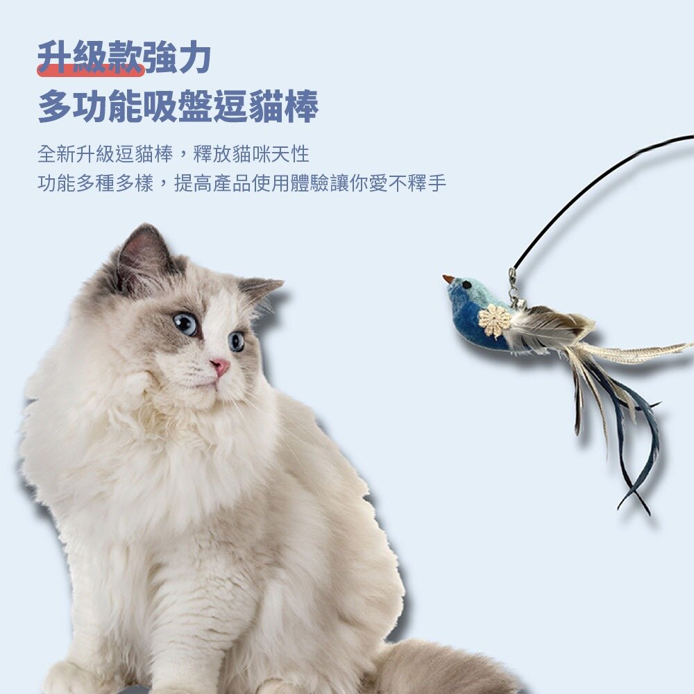 HF 吸盤式逗貓棒 伸縮逗貓棒 彈力逗貓棒 逗貓桿 伸縮寵物玩具 貓玩具 可伸縮 逗貓棒 猫咪玩具毛掌櫃寵物店-圖片-1