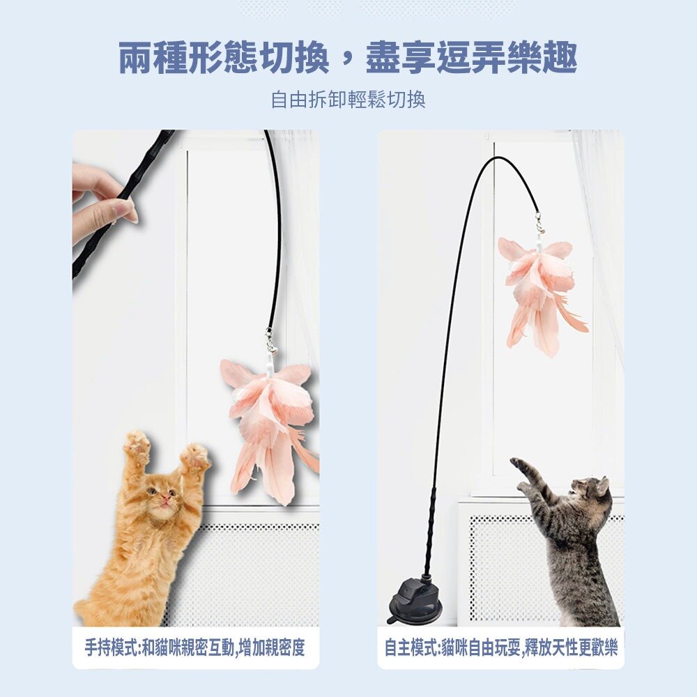 HF 吸盤式逗貓棒 伸縮逗貓棒 彈力逗貓棒 逗貓桿 伸縮寵物玩具 貓玩具 可伸縮 逗貓棒 猫咪玩具毛掌櫃寵物店-圖片-4
