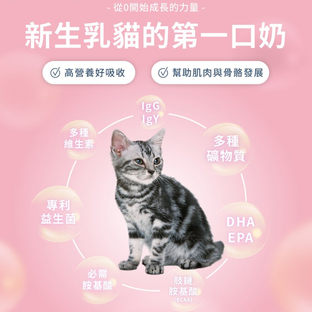 貝克奶粉 發育寶 寵物用奶粉 發育寶-S 貓用奶粉 寵物奶粉 犬用奶粉 保健品毛掌櫃寵物店-圖片-2