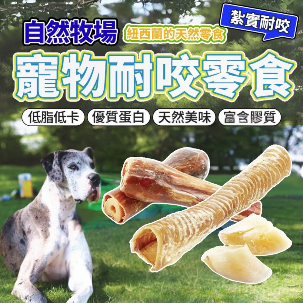 4143817078-自然牧場 耐咬骨頭 耐咬零食 牛腱棒 羊腿骨 牛腿骨 牛蹄 狗零食毛掌櫃寵物店