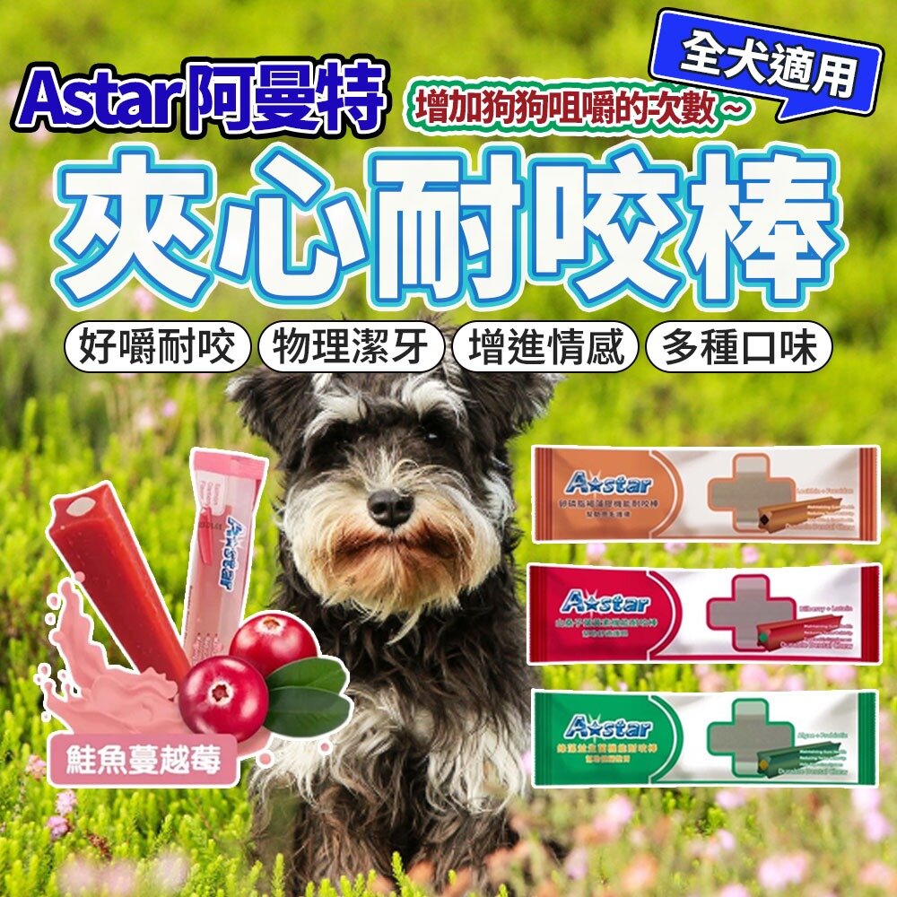 5067799141-A STAR 阿曼特 潔牙骨夾心耐咬棒 潔牙棒 潔牙骨 耐咬型潔牙棒 潔牙 狗零食毛掌櫃寵物店