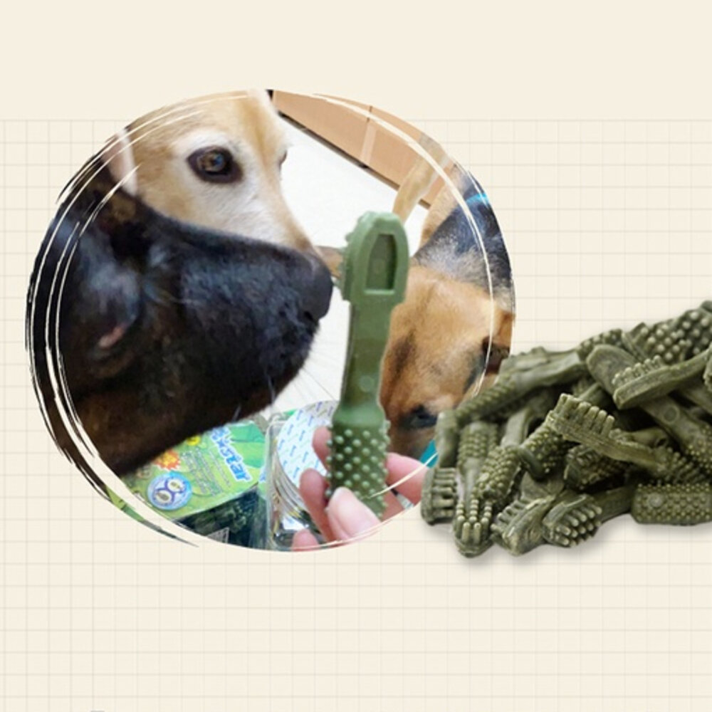 AStar 潔牙骨 大包裝 255g 狗潔牙骨 潔牙棒 耐咬零食 磨牙 耐咬棒 狗零食毛掌櫃寵物店-圖片-1