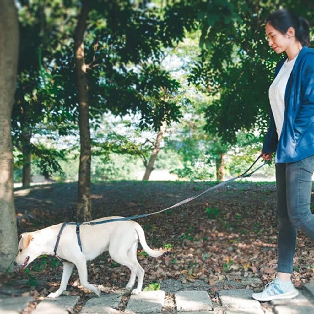 PPARK 快扣拉繩 寵物牽繩外出用品 一般牽繩 貓牽繩 狗牽繩毛掌櫃寵物店-圖片-1