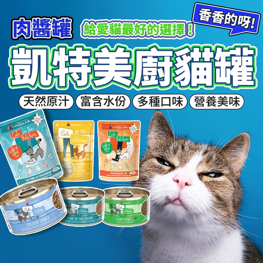 7694485352-凱特美廚 凱特鮮廚 凱特主食罐 主食罐 貓罐 貓咪主食罐 肉絲 肉泥 主食餐包 肉絲 肉泥毛掌櫃寵物店