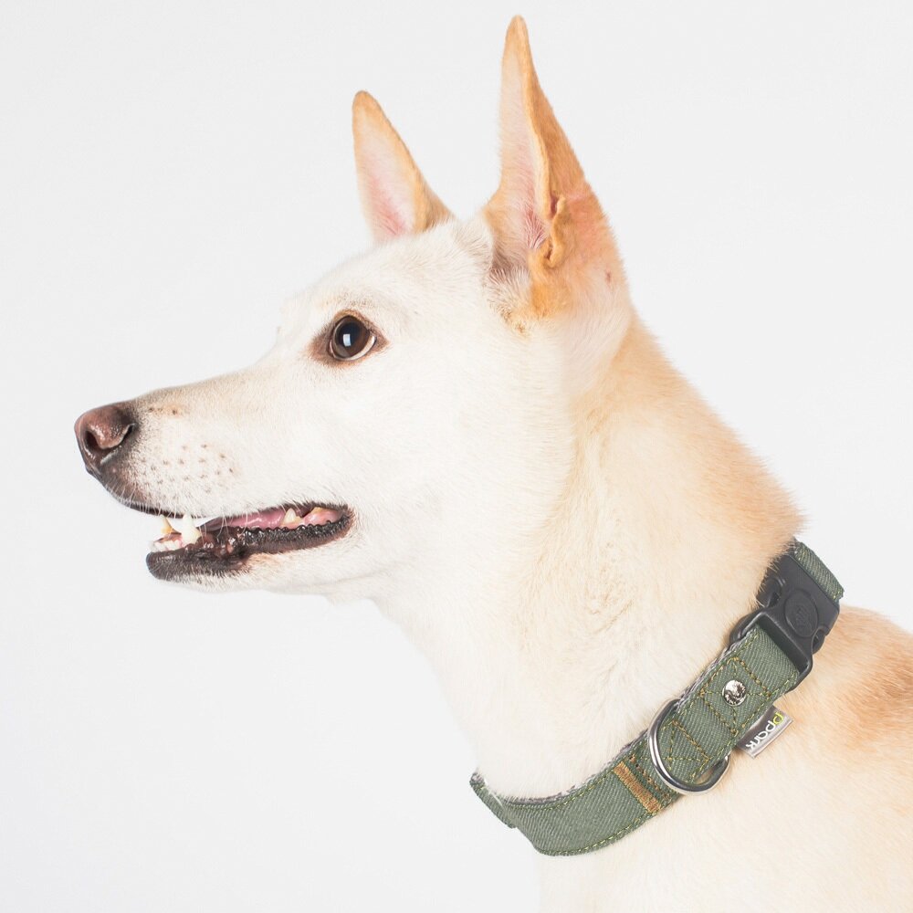 PPARK 寵物項圈 一般項圈 貓咪項圈 項圈 外出用品 狗項圈 貓狗適用毛掌櫃寵物店-圖片-1