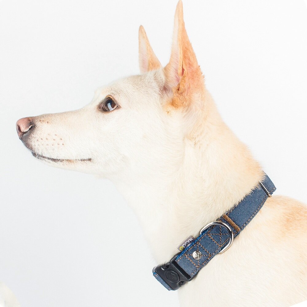 PPARK 寵物項圈 一般項圈 貓咪項圈 項圈 外出用品 狗項圈 貓狗適用毛掌櫃寵物店-圖片-2