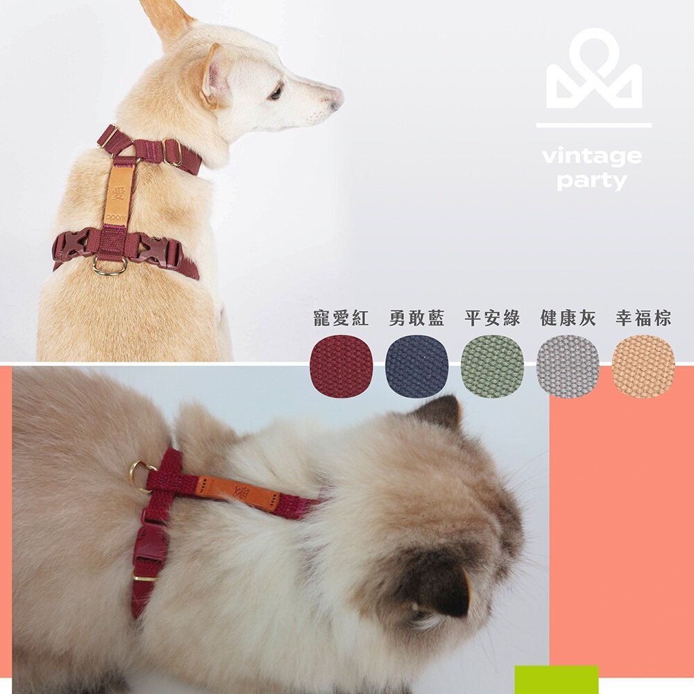 PPARK 寵物項圈 一般項圈 貓咪項圈 項圈 外出用品 狗項圈 貓狗適用毛掌櫃寵物店-圖片-5