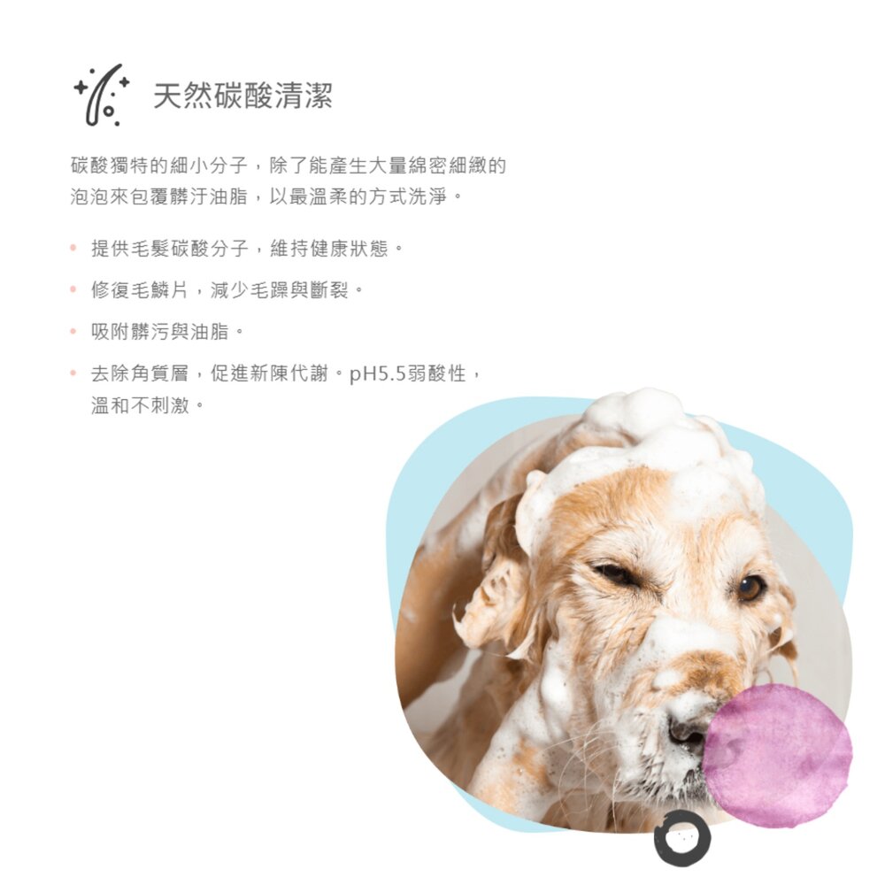 Bubble Bright 美的冒泡 犬用沐浴乳 貓用沐浴乳 沐浴露 洗毛精 寵物沐浴毛掌櫃寵物店-圖片-2