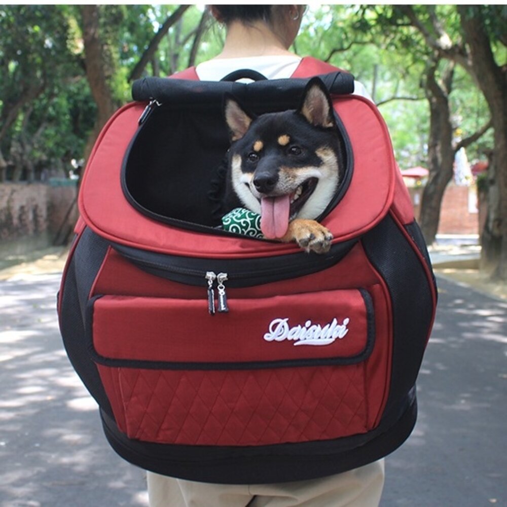 9901269721-（免運）DAISUKI - 多功能兩用後背包/透氣捲捲包/透氣櫥窗包 外出 包包外出用品毛掌櫃寵物店