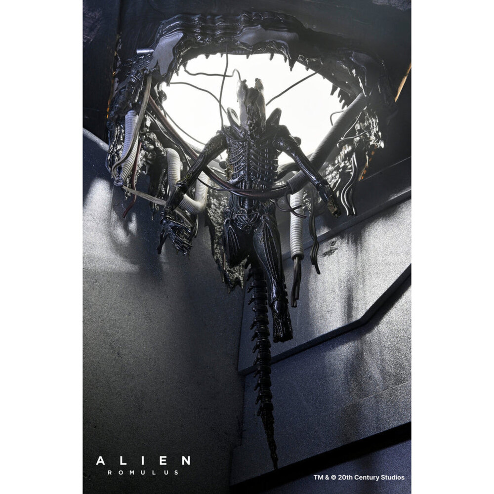 預購補款 實驗室懸吊版 羅穆路斯 全新 正版 NECA 7吋 公仔-圖片-1