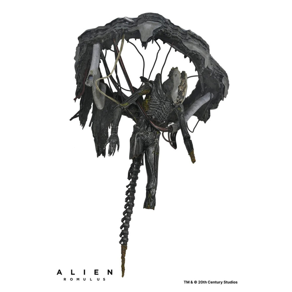 預購補款 實驗室懸吊版 羅穆路斯 全新 正版 NECA 7吋 公仔-圖片-4