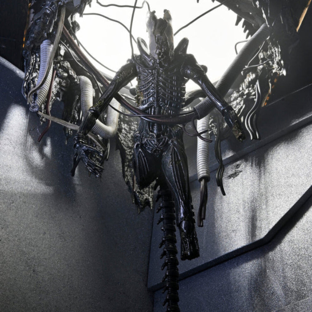 634482517437-預購補款 實驗室懸吊版 羅穆路斯 全新 正版 NECA 7吋 公仔