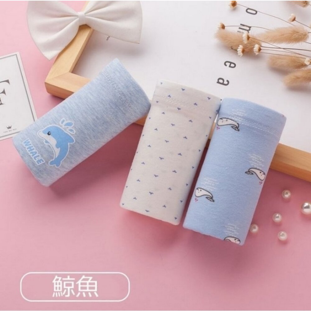 【U005S】 純棉 內褲 高腰托腹 L-XXXL 精梳棉 孕婦內褲 孕婦裝 托腹內褲 三件組-圖片-4