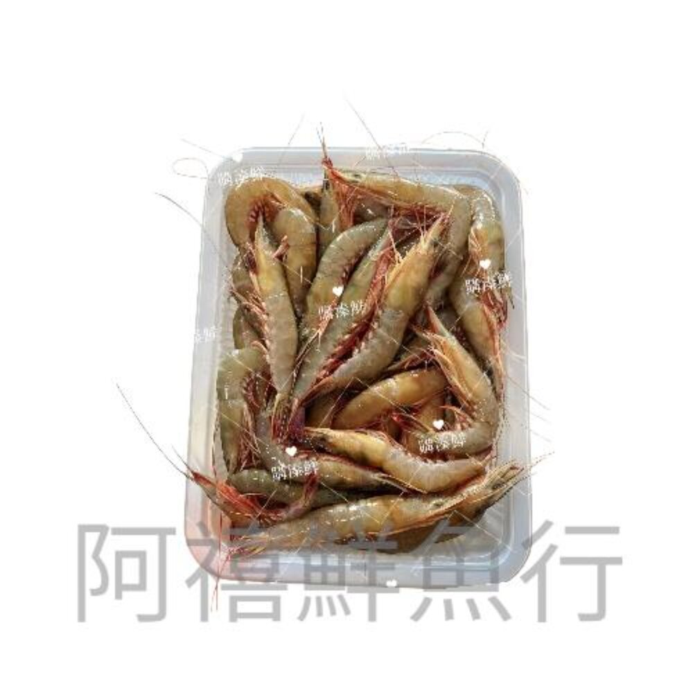 基隆船凍 劍蝦 大劍 老劍 海蝦 蝦 封面照片